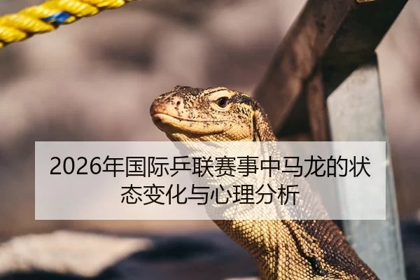 2026年国际乒联赛事中马龙的状态变化与心理分析