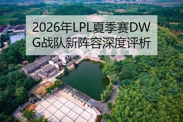 2026年LPL夏季赛DWG战队新阵容深度评析