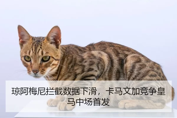 琼阿梅尼拦截数据下滑，卡马文加竞争皇马中场首发