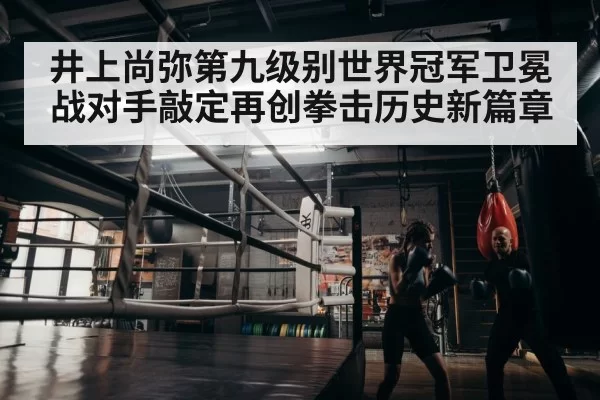 boxer training