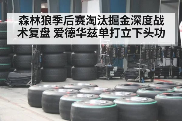 森林狼季后赛淘汰掘金深度战术复盘 爱德华兹单打立下头功